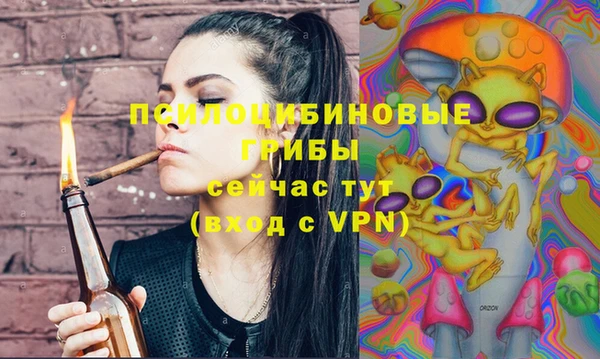 PSILOCYBIN Балабаново